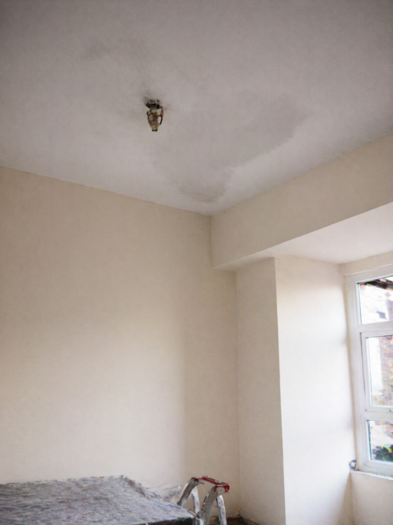 gotera por filtración de terraza en Bizkaia